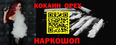 прущие грибы Новозыбков