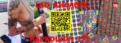 прущие грибы Новозыбков