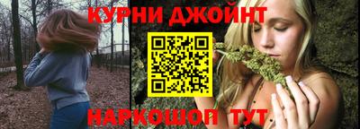 прущие грибы Новозыбков
