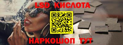 прущие грибы Новозыбков