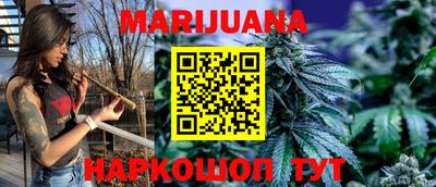прущие грибы Новозыбков