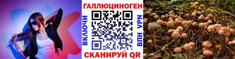 Галлюциногенные грибы мицелий OMG как зайти Похвистнево