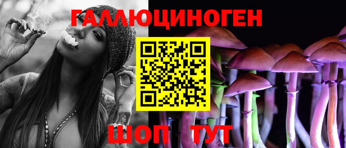 Псилоцибиновые грибы GOLDEN TEACHER  Вход с VPN  Похвистнево 